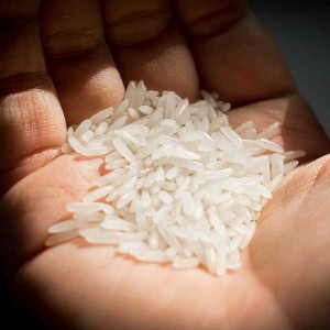 riz