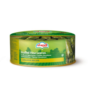 Feuilles de vigne